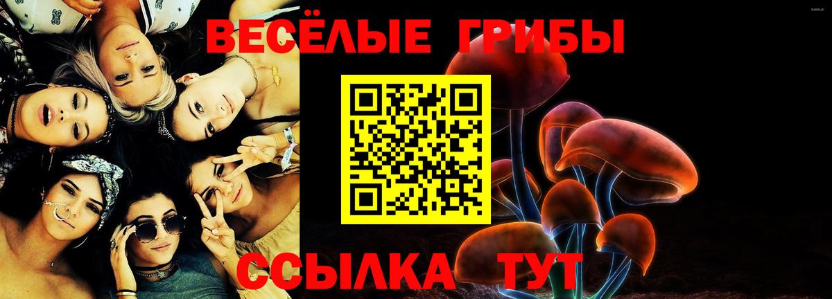 Галлюциногенные грибы Psilocybe Котовск
